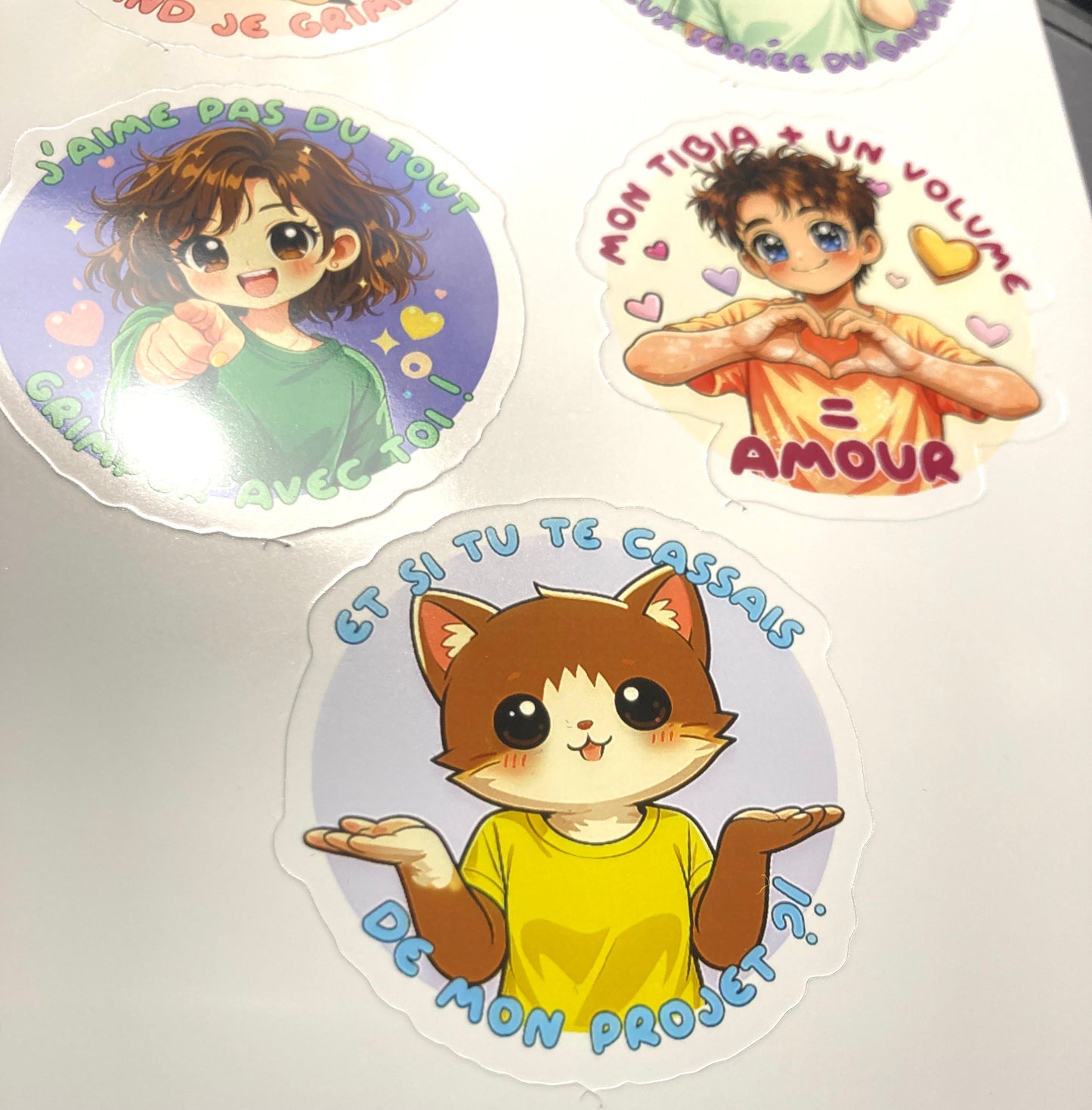 PLANCHE DE STICKERS 10x18cm - FERME TA GUEULE QUAND JE GRIMPE